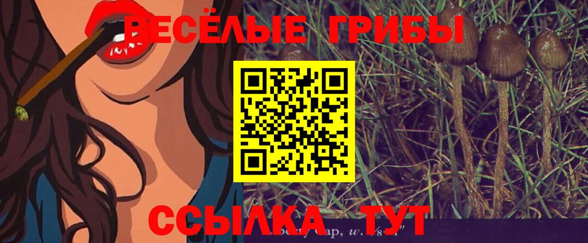закладка  Псилоцибиновые грибы ЛСД  Вход с VPN  Белорецк 